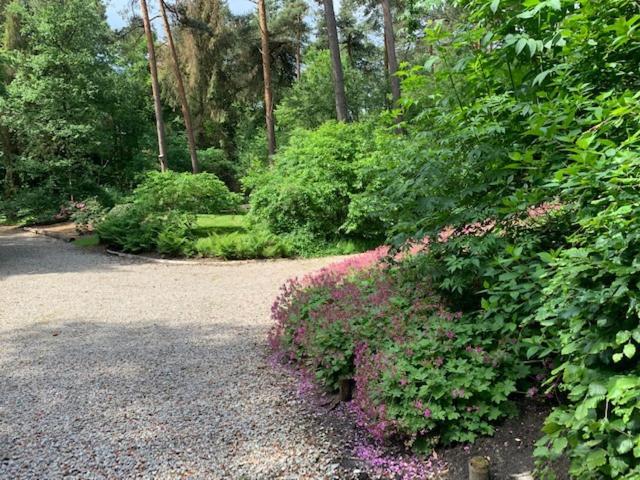 Villa Het Fazantenbosje Dalfsen Exterior foto
