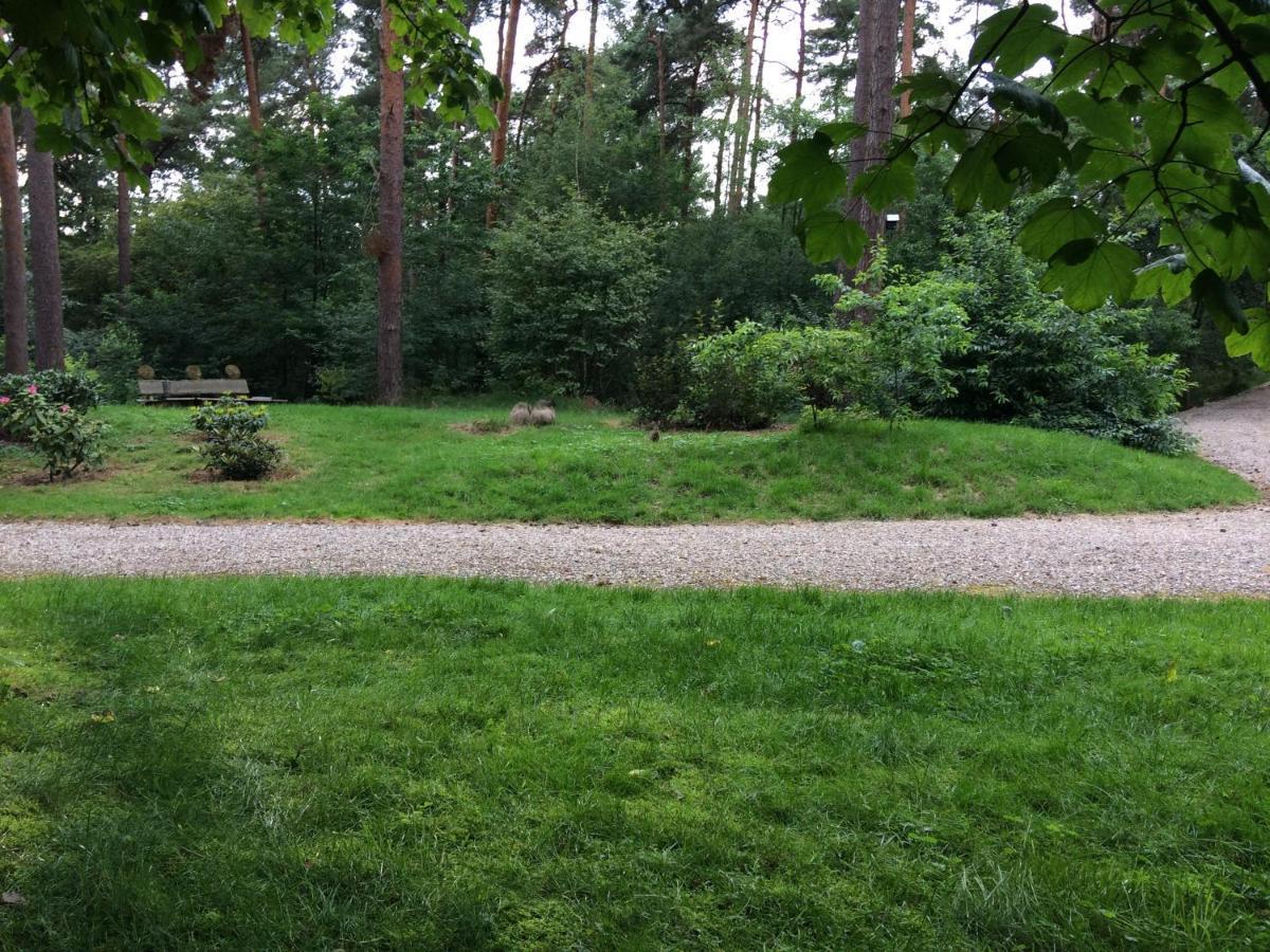 Villa Het Fazantenbosje Dalfsen Exterior foto